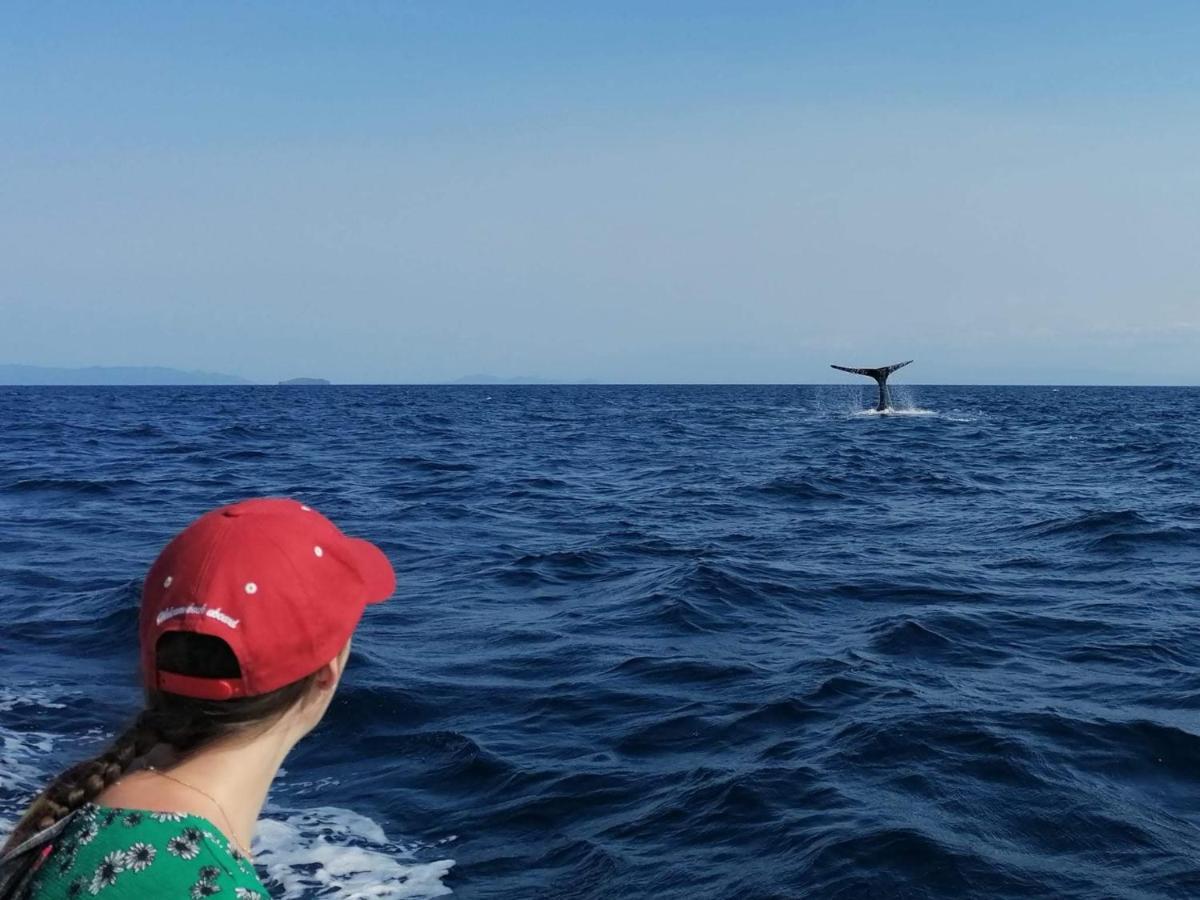 Swisscocobeach Nosy-Be Dış mekan fotoğraf